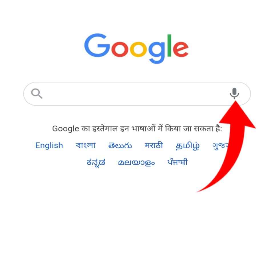 Google voice search image
